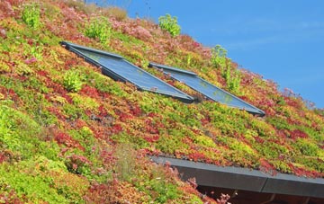 Calthwaite living roof systems